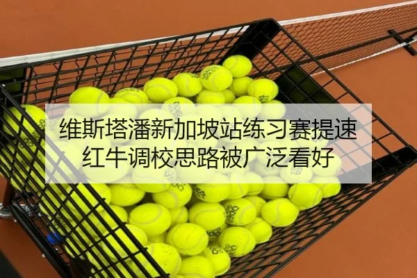 维斯塔潘新加坡站练习赛提速 红牛调校思路被广泛看好